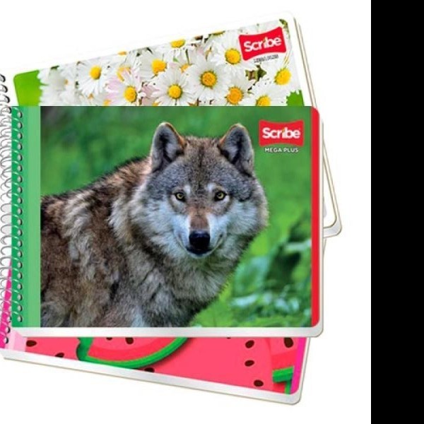 CUADERNO ITAL. MEGA SCRIBE 4530 RAYA ESP. 100H. C.48